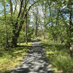 LeTort Spring Run Nature Trail - A view of the trail - Hiking Near Me - Carlisle, Pennsylvania
