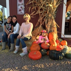 Diana's Pumpkin Patch & Corn Maze