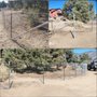 Tahoe Fence