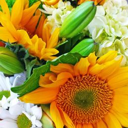 a $10 arrangement (there's more to it than shown)