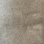 Photo of Citrus-O Carpet Care