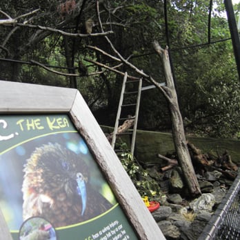 Kiwi Birdlife Park - Parks Near Me - Queenstown, OTA