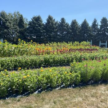Countryside Flower Shop, Nursery and Garden Center - Elburn - Nurseries & Gardening Near Me - Elburn, Illinois