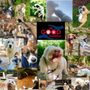In good hands pet sitters