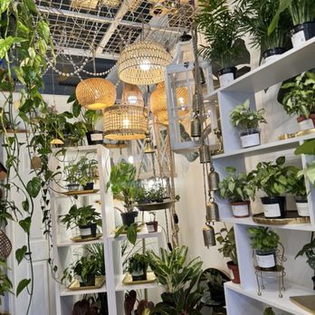 Prop Me Up - Nurseries & Gardening Near Me - Fairport, New York Prop Me Up - Nurseries & Gardening Near Me - Fairport, New York