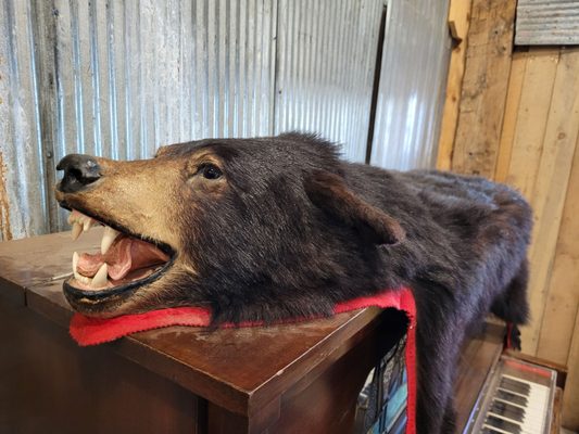 Long Family Orchard & Farm by null