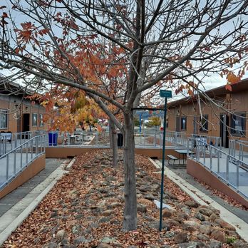 Stellar Academy for Dyslexics - Special Education Near Me - Newark, California