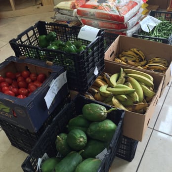 Vegemarket Wellness Cuisine - Specialty fruits and veggies. - Vegan Near Me - McAllen, Texas Vegemarket Wellness Cuisine - Specialty fruits and veggies. - Vegan Near Me - McAllen, Texas