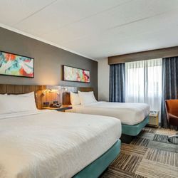 Hilton Garden Inn Boston/Waltham - Guest room