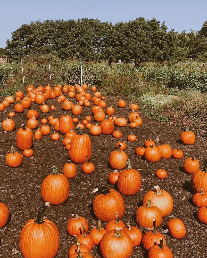 o Jupiter Florida Real Estate For Sale