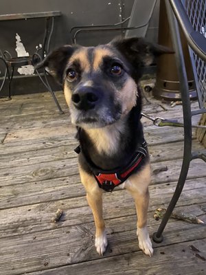 Thai Station Restaurant by null