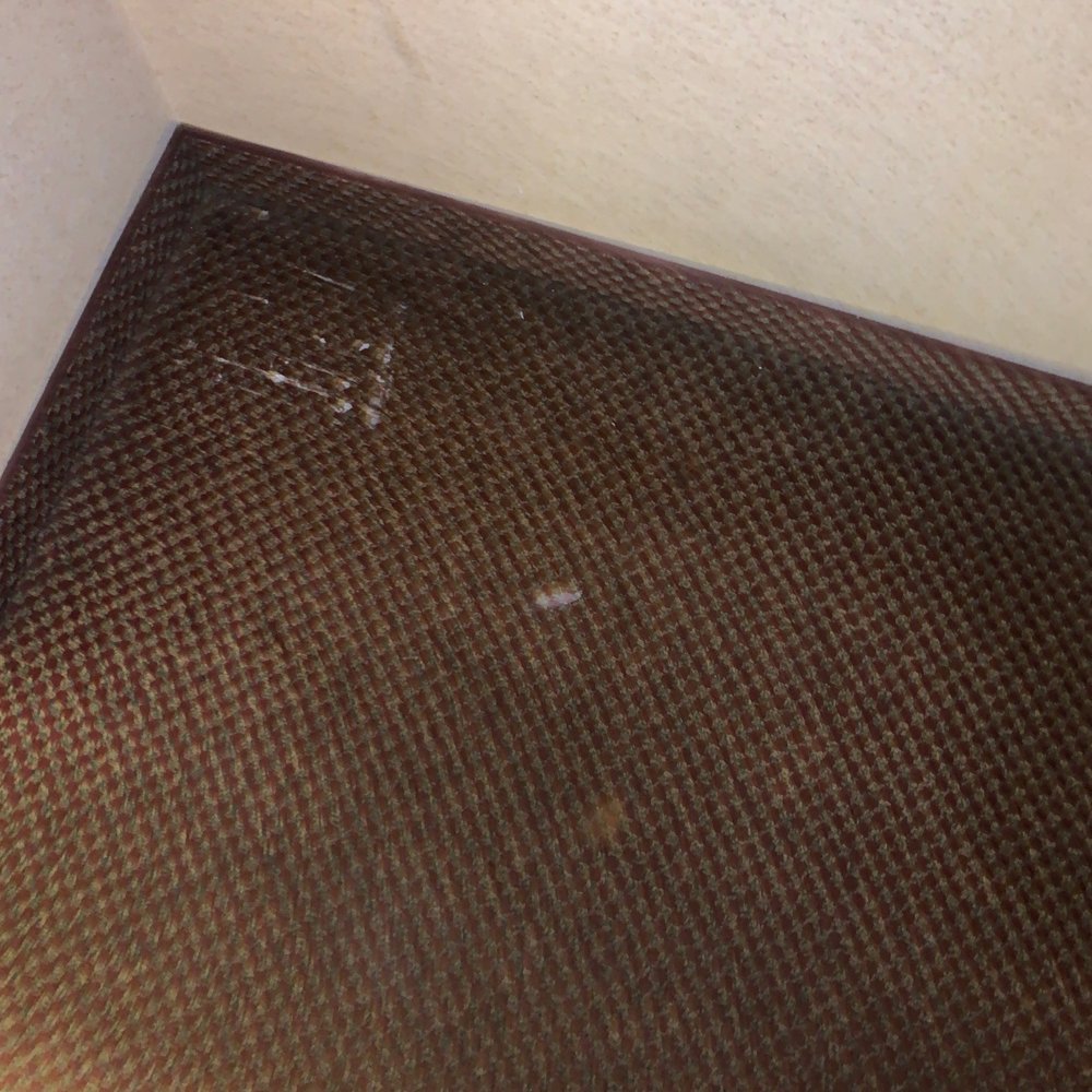 Baymont by Wyndham Willows - Cant even tell what color this carpet is with all these stains - Hotels Near Me - Willows, California