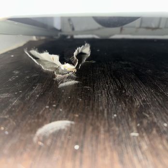 Seven days appliances - THE OWNER RIPPED MY FLOORING TRYING TO INSTALL A WASHER. - Appliances & Repair Near Me - Arlington, Texas Seven days appliances - THE OWNER RIPPED MY FLOORING TRYING TO INSTALL A WASHER. - Appliances & Repair Near Me - Arlington, Texas