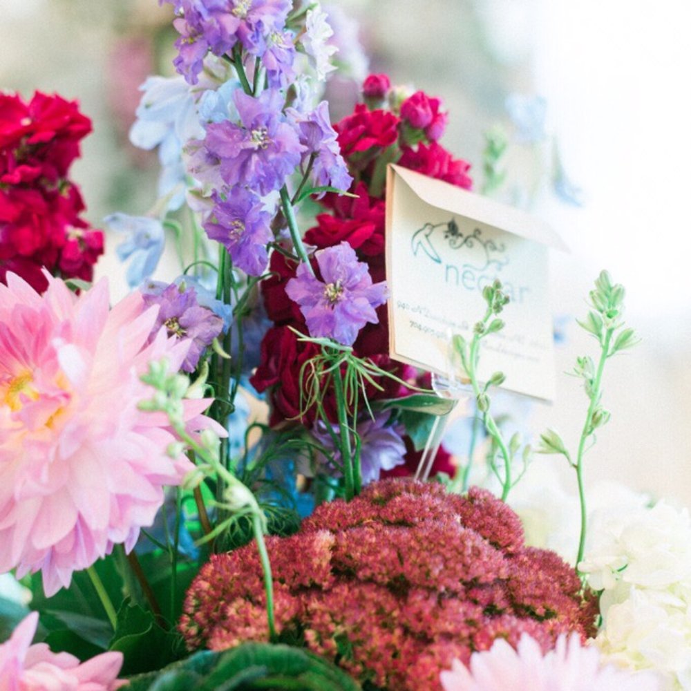 Nectar - Nectar. - Florists Near Me - Charlotte, North Carolina Nectar - Nectar. - Florists Near Me - Charlotte, North Carolina