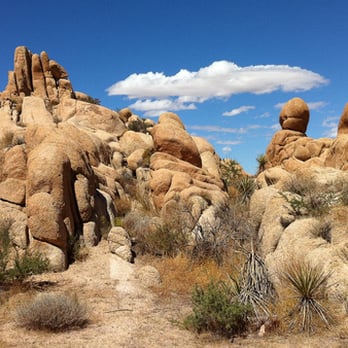 Indian Cove Campground - Campground - Campgrounds Near Me - Twentynine Palms, California