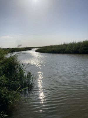 Fort Anahuac Park by null