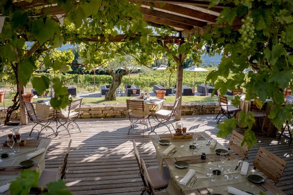 Les Vignes & Son Jardin by null