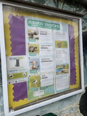 Ching Young Village Shopping Center by null