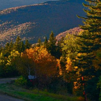 Fun 4 All Tours - Bus Tours Near Me