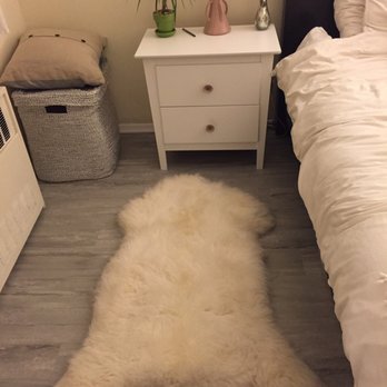 Floors Floors Floors - Even our polish sheepskin loves the new floor! - Flooring Near Me