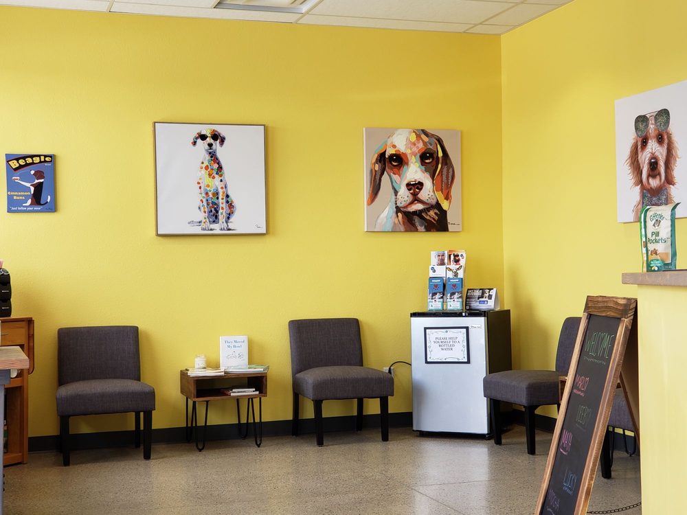 MISSION VETERINARY CLINIC 24 Photos & 21 Reviews 2451 Cabezon Blvd