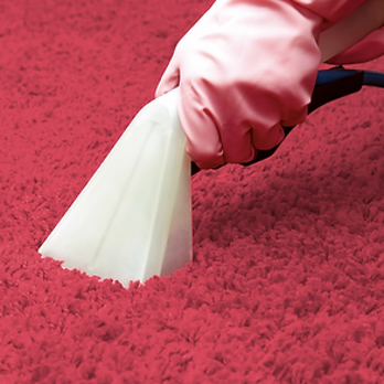 S&T Magic Cleaning - Home Cleaning Near Me S&T Magic Cleaning - Home Cleaning Near Me