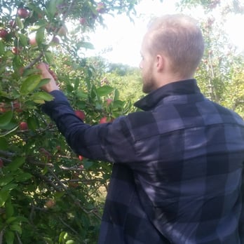 Dartmouth Orchards - a man picking apples from a tree - Fruits & Veggies Near Me - North Dartmouth, Massachusetts Dartmouth Orchards - a man picking apples from a tree - Fruits & Veggies Near Me - North Dartmouth, Massachusetts