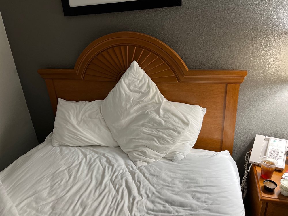 QUALITY INN - Updated May 2026 - 36 Photos & 10 Reviews - 289 McDonald ...