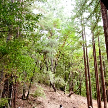 YMCA Camp Campbell - Archery - Summer Camps Near Me - Boulder Creek, California