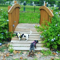 Doctors' Dog Park - Fiona and Layla check out their new favorite park!