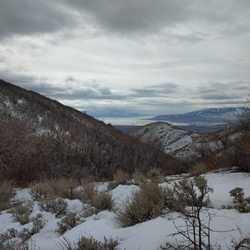 Alien Tower Trail