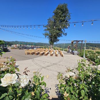 Sweet Cheeks Winery - Wineries Near Me - Eugene, Oregon