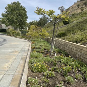 SJR Landscape - After Driveway close to house No dry spots or Weeds! - Landscaping Near Me - Santa Clarita, California SJR Landscape - After Driveway close to house No dry spots or Weeds! - Landscaping Near Me - Santa Clarita, California