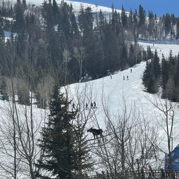 The St. Regis Deer Valley - Hotels Near Me - Park City, Utah The St. Regis Deer Valley - Hotels Near Me - Park City, Utah