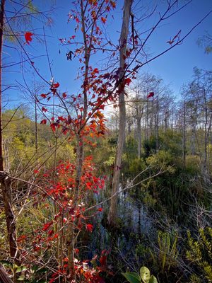 Kirby Storter Roadside Park by null