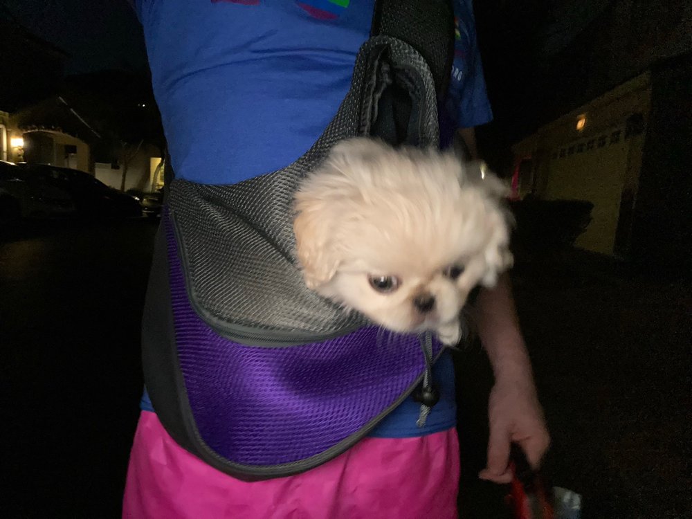 TLC KENNEL Updated September 2024 30 Photos & 17 Reviews 19375