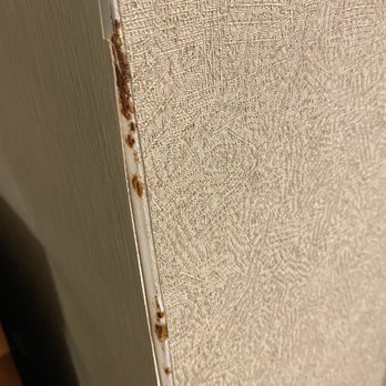 Poco Diablo Resort - Some kind of rust or mold growing behind the peeling wallpaper corner - Hotels Near Me - Sedona, Arizona
