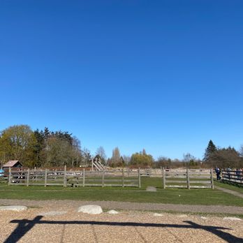Terra Nova Adventure Play Environment - Playgrounds Near Me - Richmond, British Columbia Terra Nova Adventure Play Environment - Playgrounds Near Me - Richmond, British Columbia