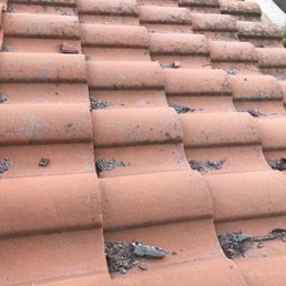 debris & nails not cleaned off the roof after work was done