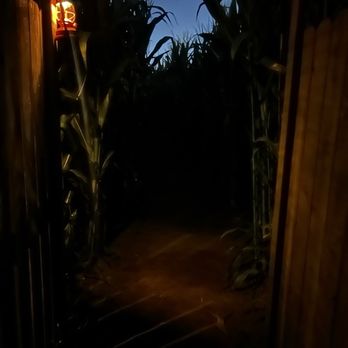 The Haunted Harvest - Darkness in the corn - Haunted Houses Near Me - Chino, California The Haunted Harvest - Darkness in the corn - Haunted Houses Near Me - Chino, California