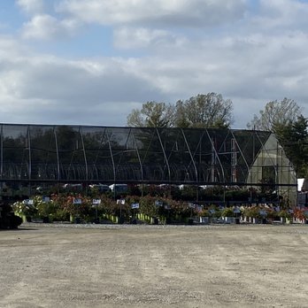 North Branch Nursery - Nurseries & Gardening Near Me - Pemberville, Ohio North Branch Nursery - Nurseries & Gardening Near Me - Pemberville, Ohio