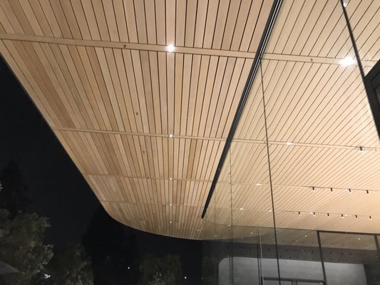 Apple Apple Park Visitor Center by null