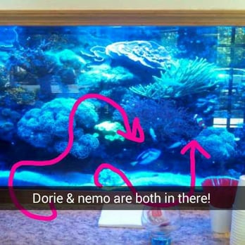 Mark A Truhe, DDS - Their beautiful tank and coffee selection - Cosmetic Dentists Near Me - Chico, California