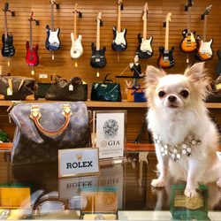 BJ's Jewelry & Loan - Mandeville - One of our best salesman, Topaz, is ready to help with any customer needs!