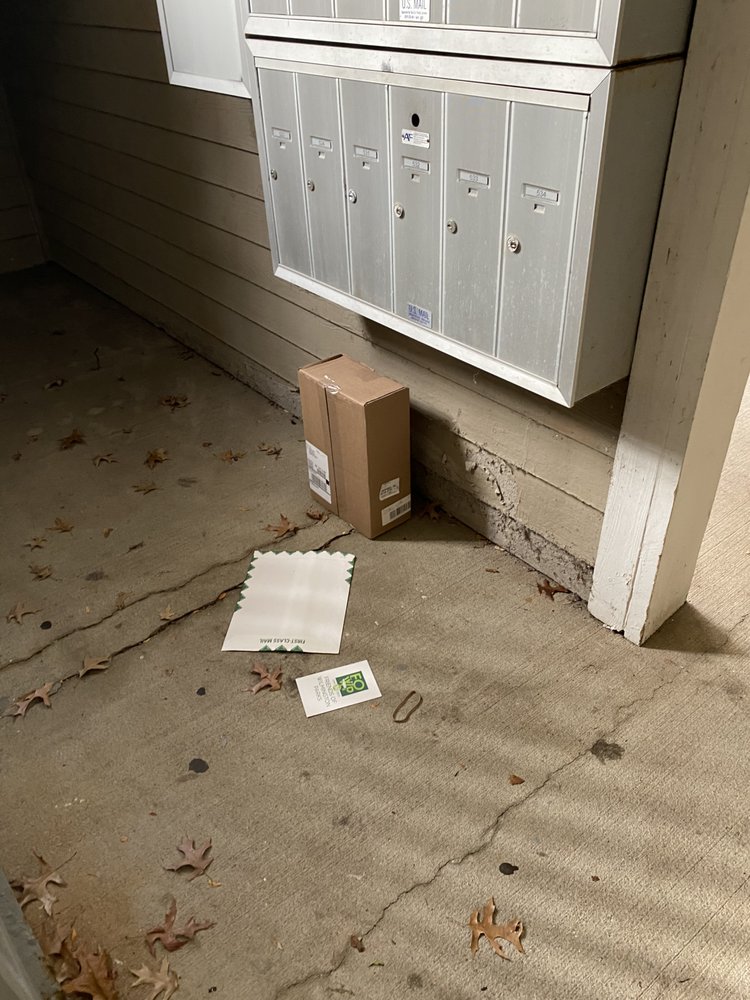 BRANDYWINE WOODS APARTMENTS 41 Photos 270 Brandywine Dr, Bear