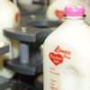 Lamers Dairy gift card