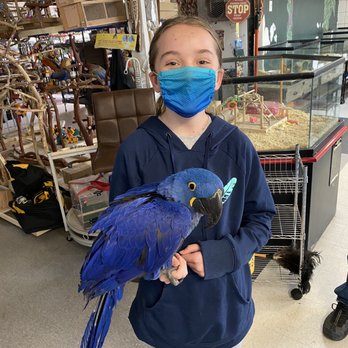 Birds N Paradise - Bird Shops Near Me - Menifee, California