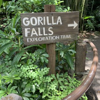 Gorilla Falls Exploration Trail - 07.15.19 paved trail - Amusement Parks Near Me - Lake Buena Vista, Florida