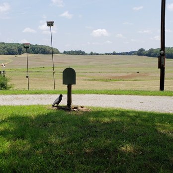 Simmons Farm - Ranches Near Me - Huntingdon, Tennessee Simmons Farm - Ranches Near Me - Huntingdon, Tennessee