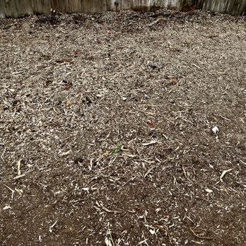 Micaela Tree Service - Tree Services Near Me Micaela Tree Service - Tree Services Near Me